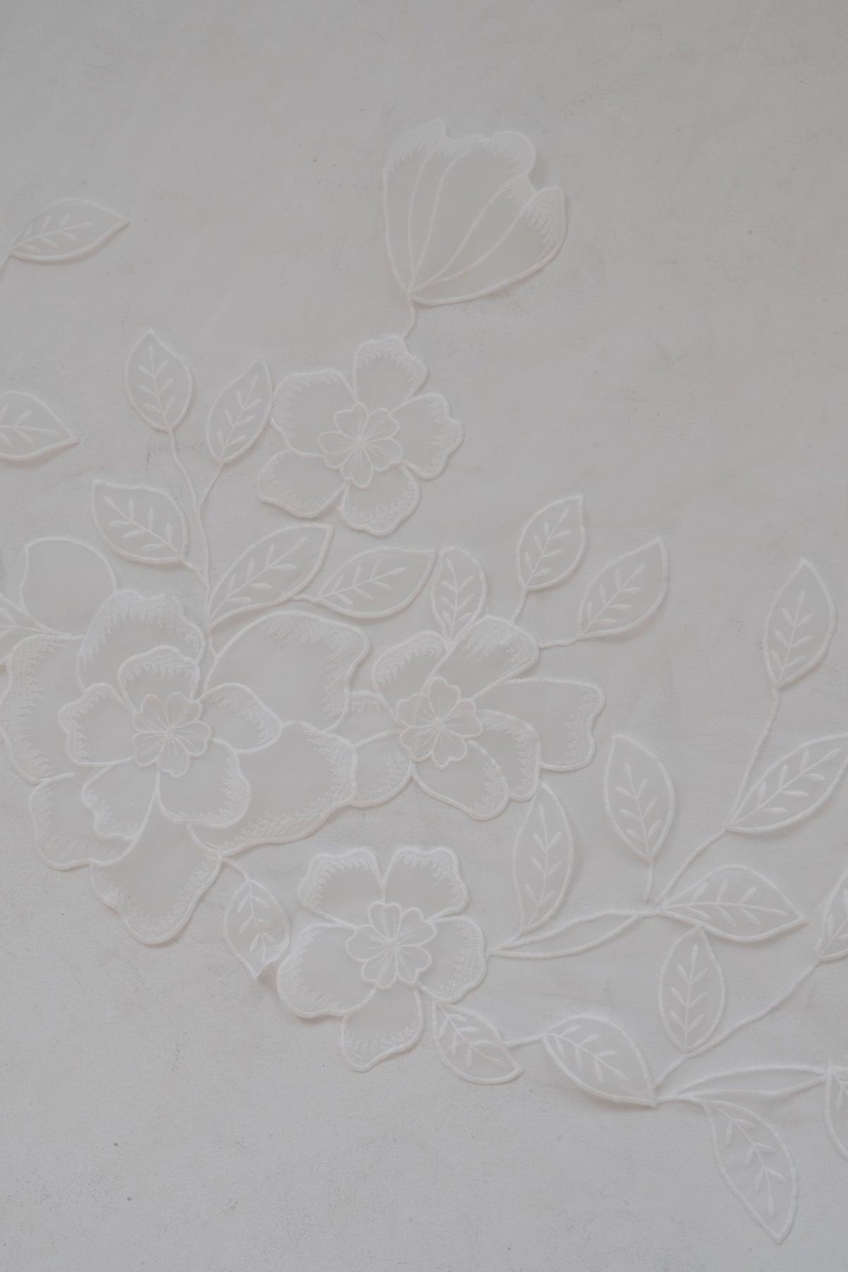 Magnolia Veil - FW25-007
