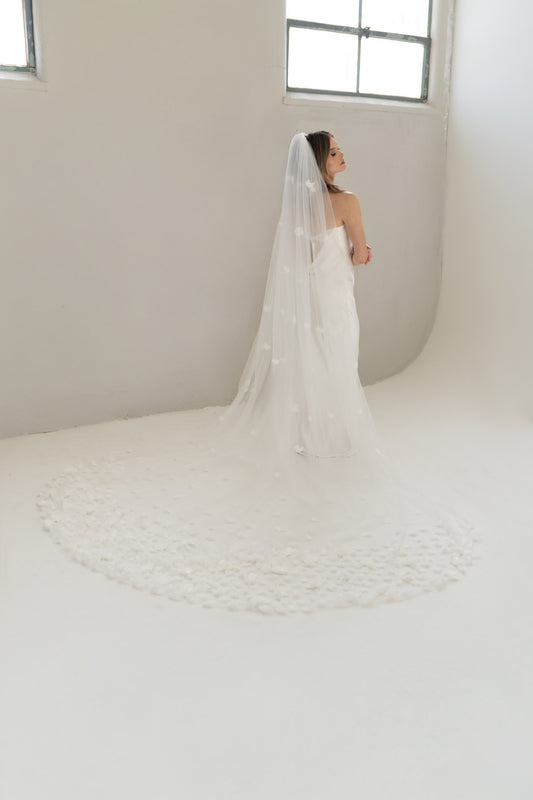 Lumière Veil - FW25-003